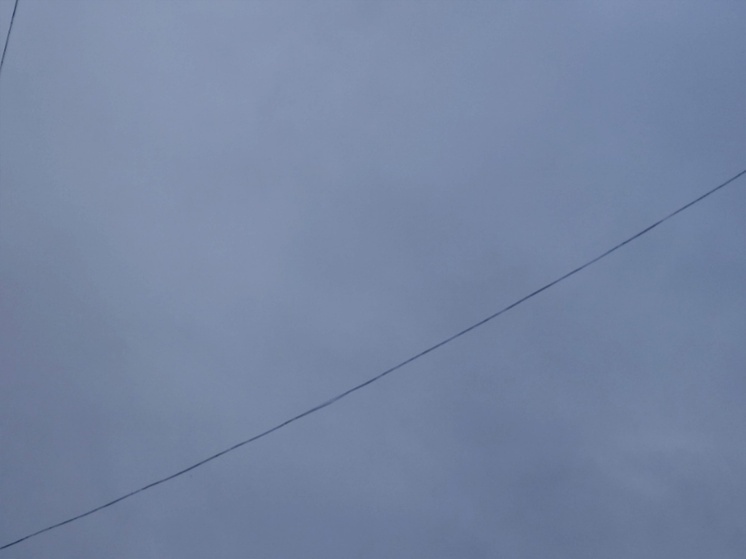 Пасмурные и холодные выходные ожидаются в Ростове