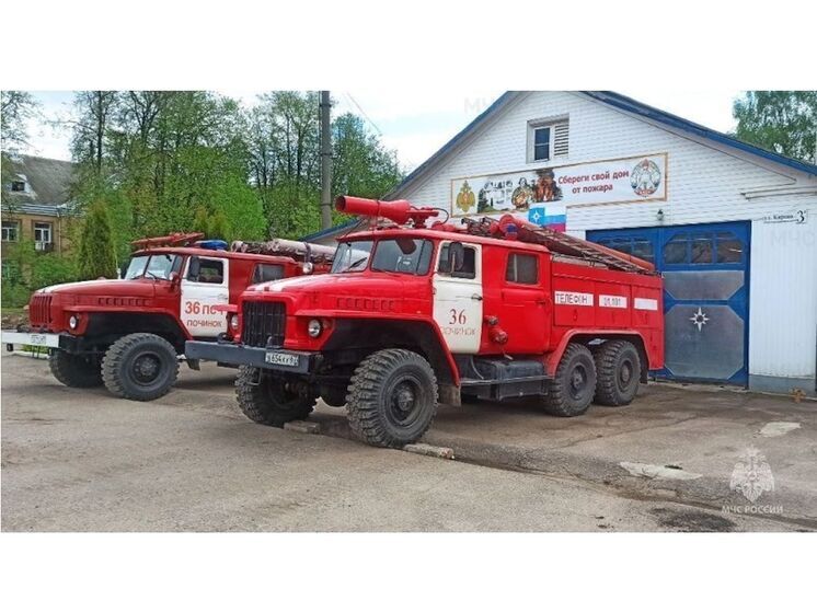 В Починковском районе сгорел жилой дом