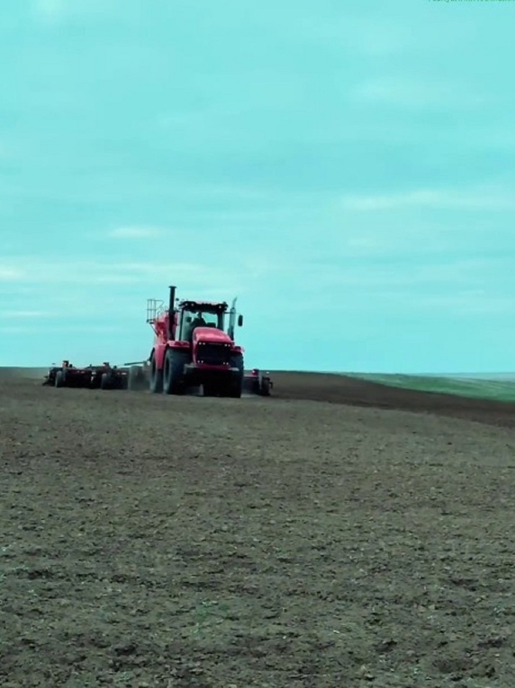 В Калмыкии продолжается сев озимых культур