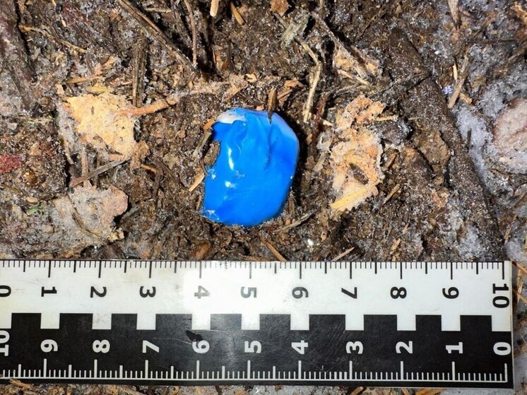 В Мегионе полицейские задержали подозреваемого в сбыте крупной партии наркотиков