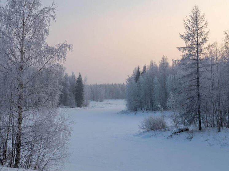 В Югре в выходные ударят морозы до -28