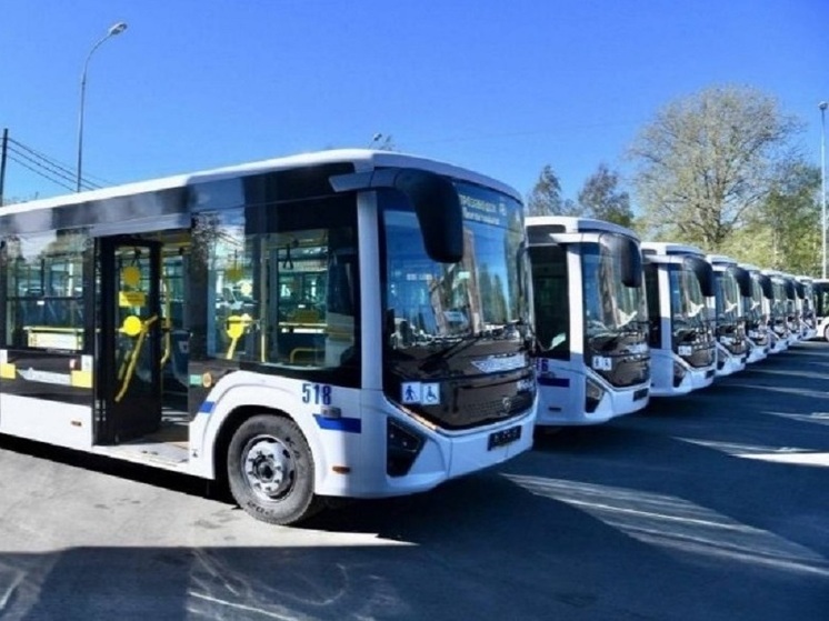 Жителям изолированной деревни в Карелии пообещали автобус