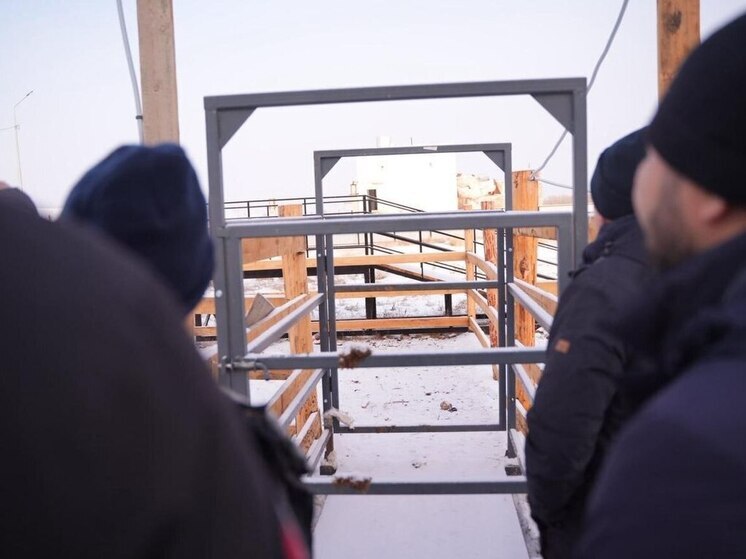 В Хатассах запустили первый убойный цех крупного рогатого скота