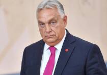 Виктор Орбан посетит Белый дом в пятницу, поскольку крайне правый премьер-министр Венгрии попытается организовать еще один саммит между Дональдом Трампом и Владимиром Путиным, который, как утверждают советники Орбана, может помочь положить конец военному конфликту между Россией и Украиной