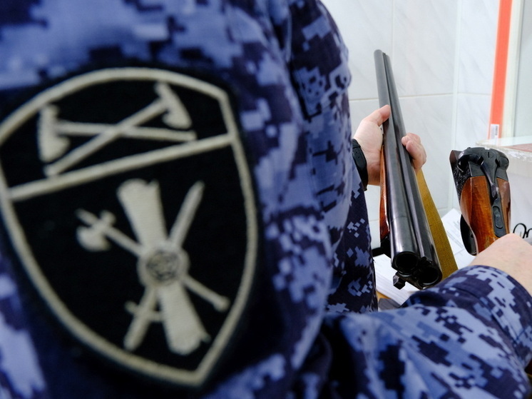 В Марий Эл сотрудники ЛРР Росгвардии за прошедший месяц провели более 120 проверок мест хранения гражданского оружия