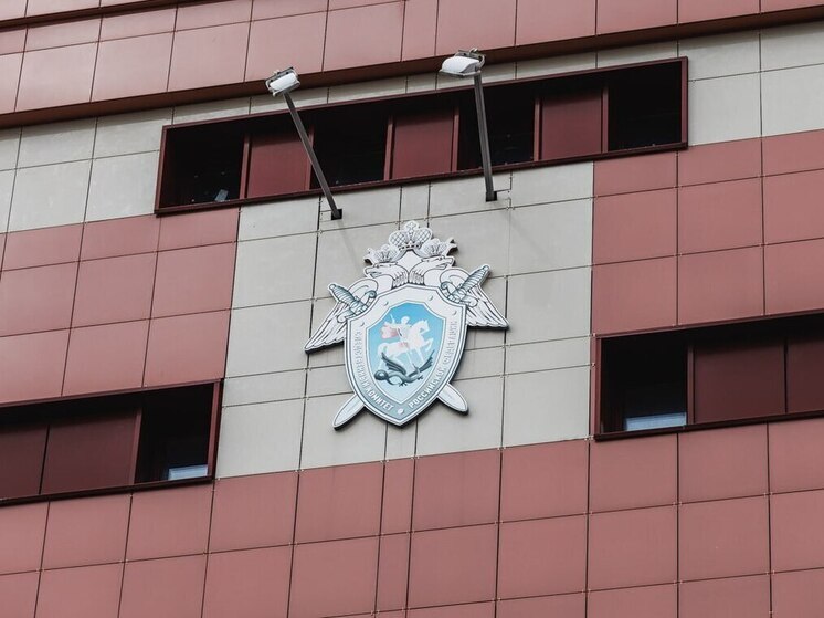 Неизвестные избили девочку у образовательного центра в Челябинске