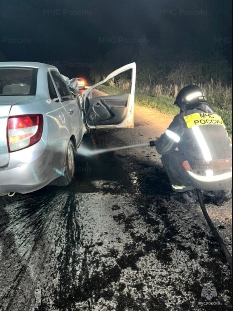В Орловской области в ДТП с лосем пострадали водитель и пассажир автомобиля