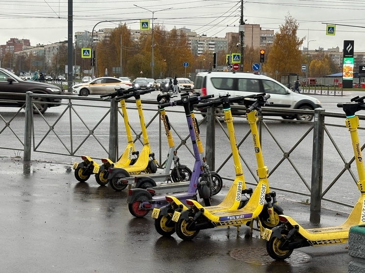 Сезон электросамокатов в Красноярске завершен: кикшеринги подводят итоги