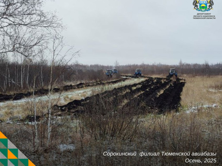 В Тюменской области завершили обустройство противопожарных минерализованных полос
