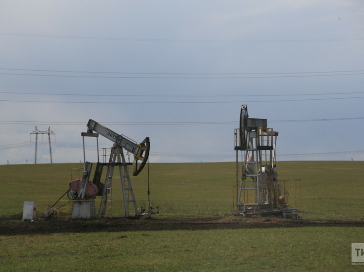 В Татарстане обнаружили залежи нефти с запасами в 0,5 млн тонн