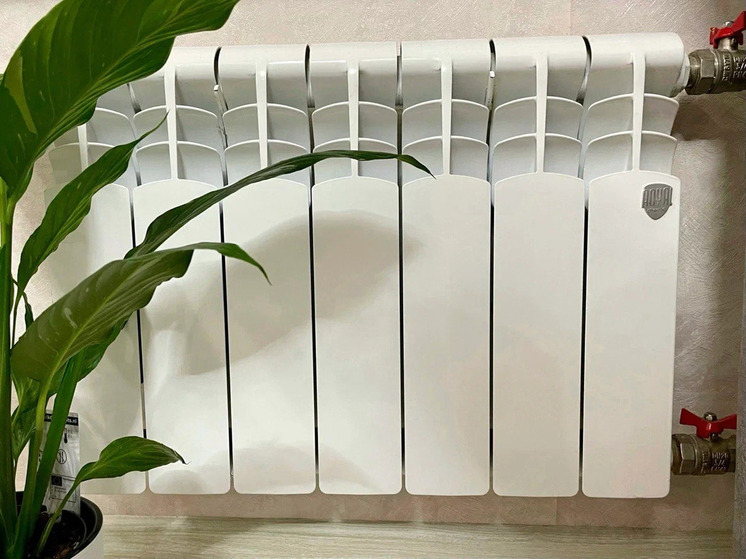 Многоквартирные дома, сады и школы остались без тепла в Рязани 7 ноября