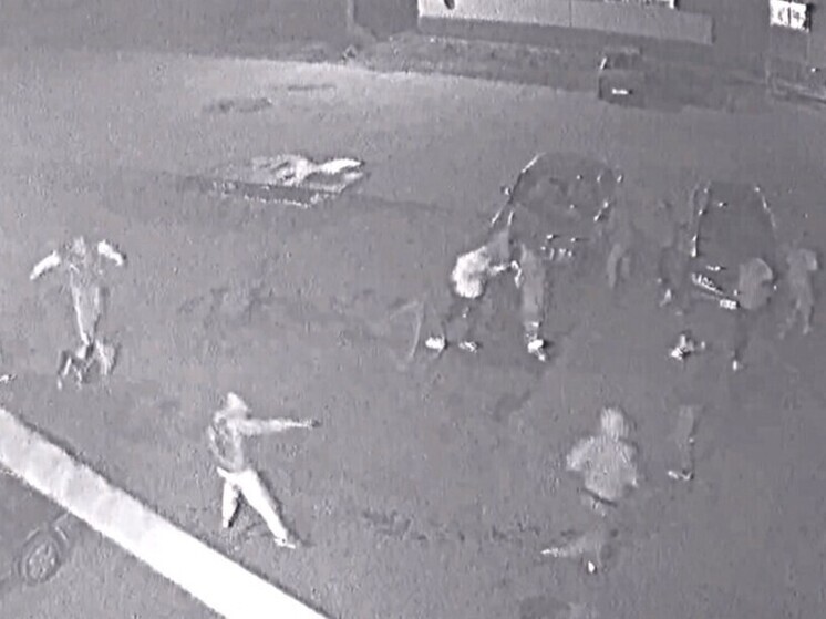 Трое жителей Новосибирской области открыли стрельбу по людям в алтайском селе