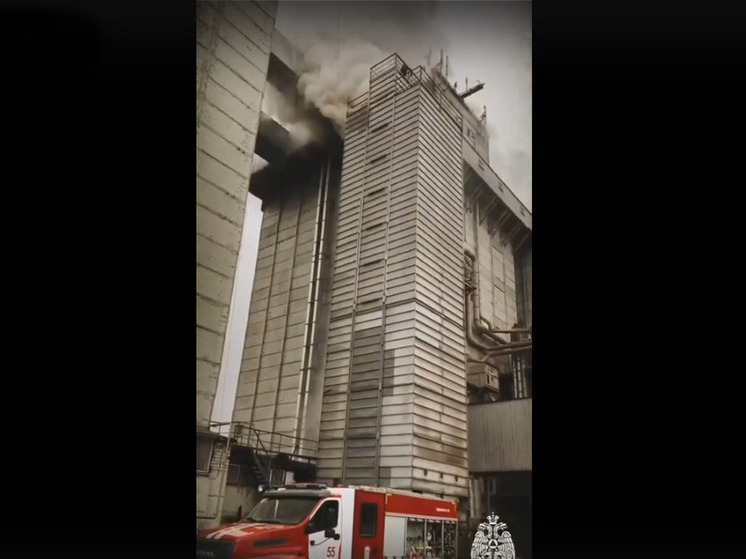 На видео сняли крупный пожар на элеваторе под Воронежем