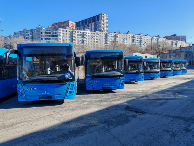 С зарядками и кондиционерами: новые автобусы выйдут на маршруты Владивостока