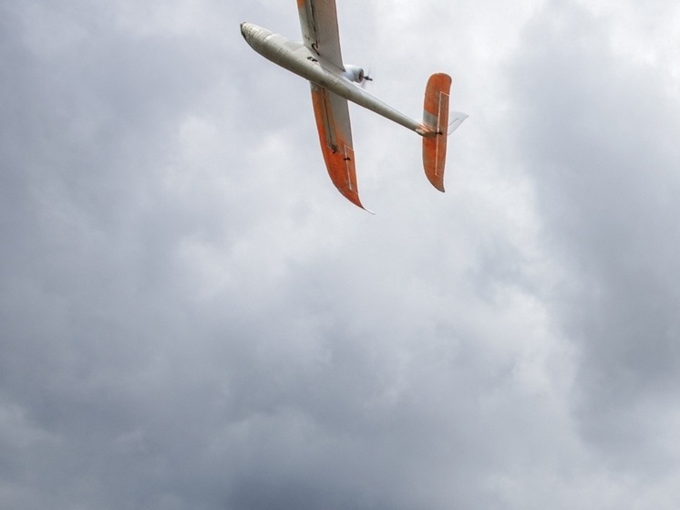 Аналитик описал тактику ВС РФ по борьбе с украинскими беспилотниками