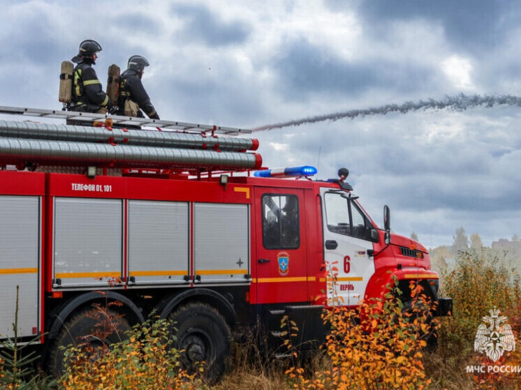 Тамбовские огнеборцы за 3 минуты справились с горящим «КамАЗом»