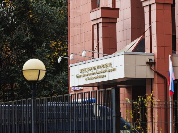 СКР проверит жалобы на нехватку освещения и тротуаров под Челябинском