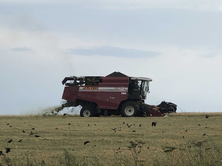 План по заготовке кормовых и зерновых культур успешно выполняется на Вологодчине