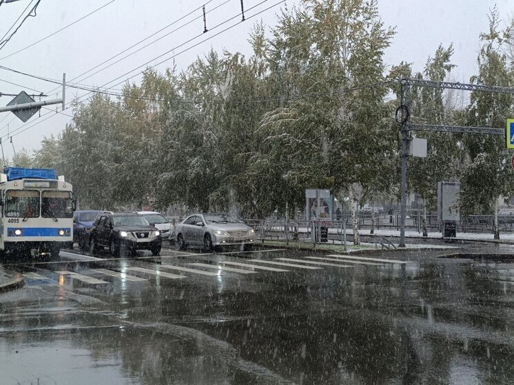 Метели и порывистый ветер надвигаются на Алтайский край