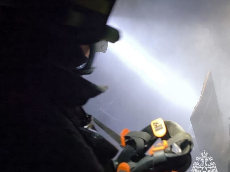 Пылающий мусорный контейнер в Кимовске потребовал визита трёх сотрудников МЧС