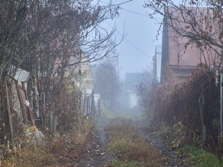 Садоводам Пензенской области дали рекомендации по подготовке к холодной зиме