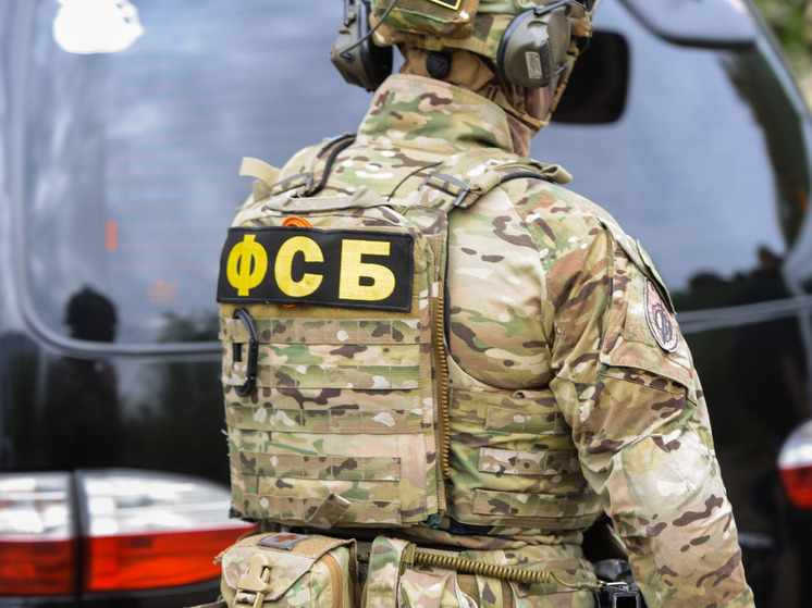 Житель Тамбовской области передавал данные украинским спецслужбам