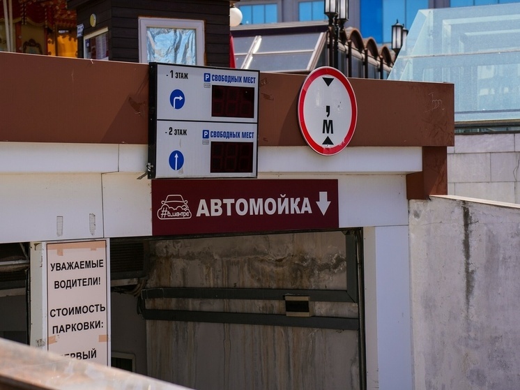 Власти Тулы потратят на бесконтактную мойку автобусов 2 млн рублей