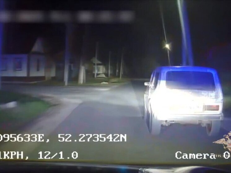 В Саратовской области полицейские стреляли по автомобилю нарушителя