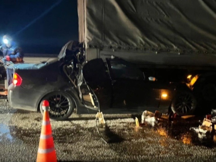 Четыре пожара и две аварии за сутки в Ростовской области: есть погибшие