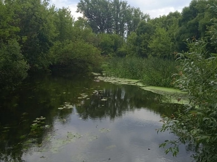 В Курской области с начала года на водоёмах погибли 29 человек