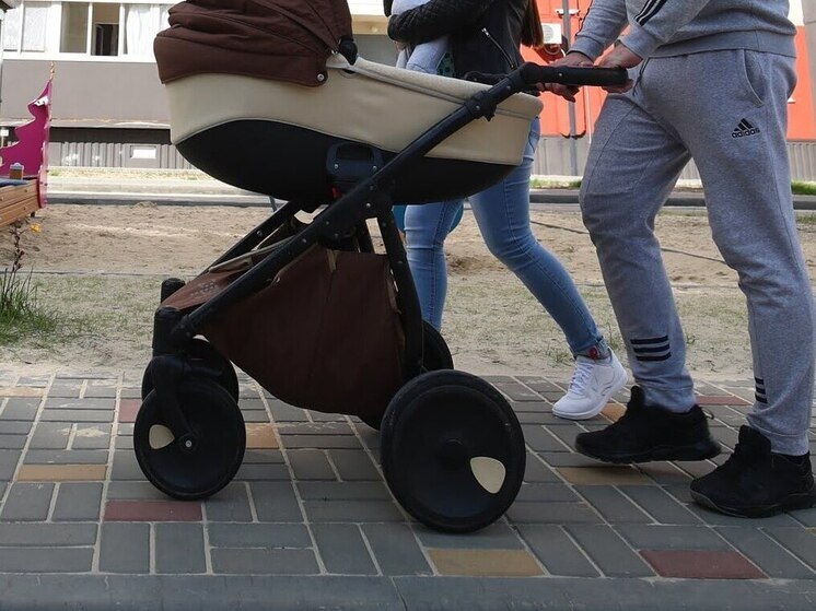 В волгоградском СФР назвали максимальный размер декретных выплат в 2026 году