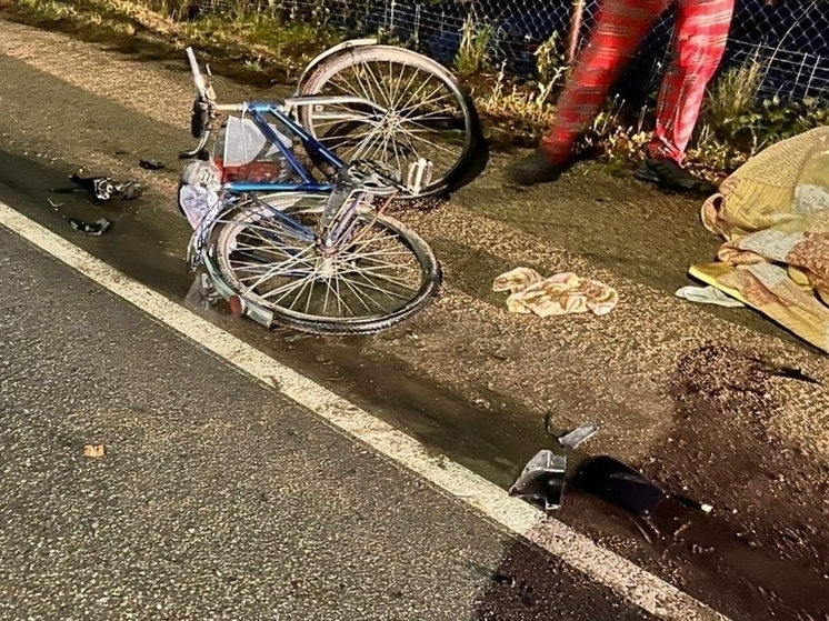 Водитель сбил велосипедистку и скрылся в Шекснинском округе