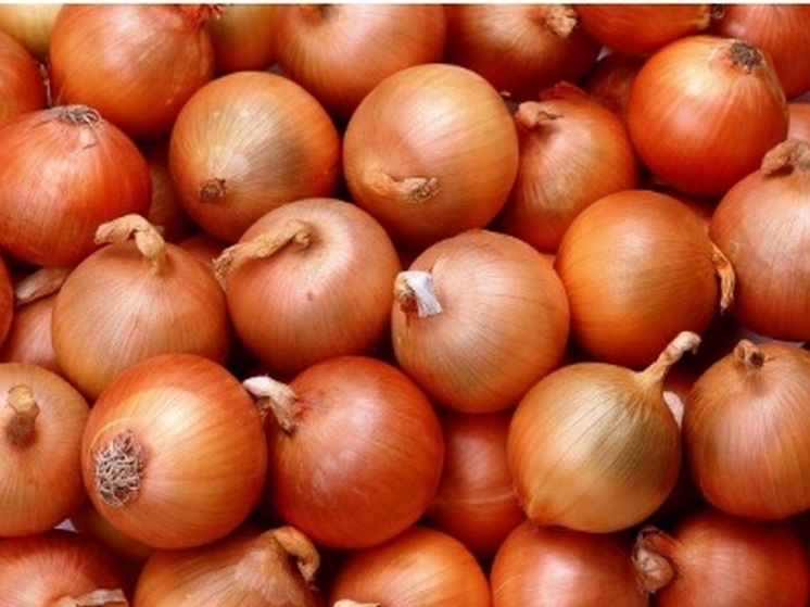 Почти 1700 тонн репчатого лука, завезенного в Бурятию из Казахстана, можно кушать
