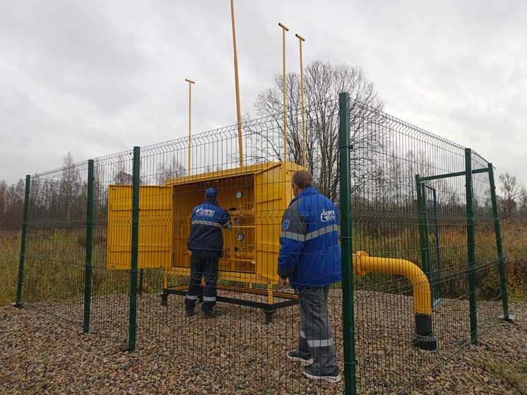 В Парфинском округе газифицировали деревню Борки