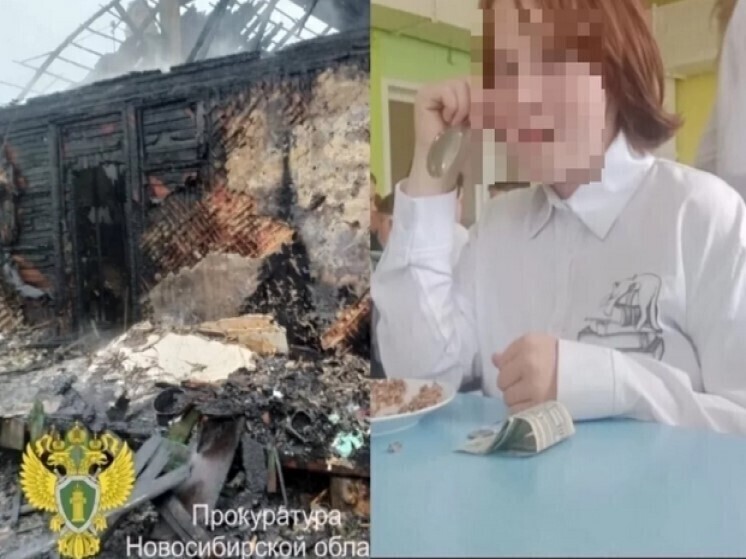 Знакомые рассказали о погибшей при пожаре школьнице в селе Новосибирской области