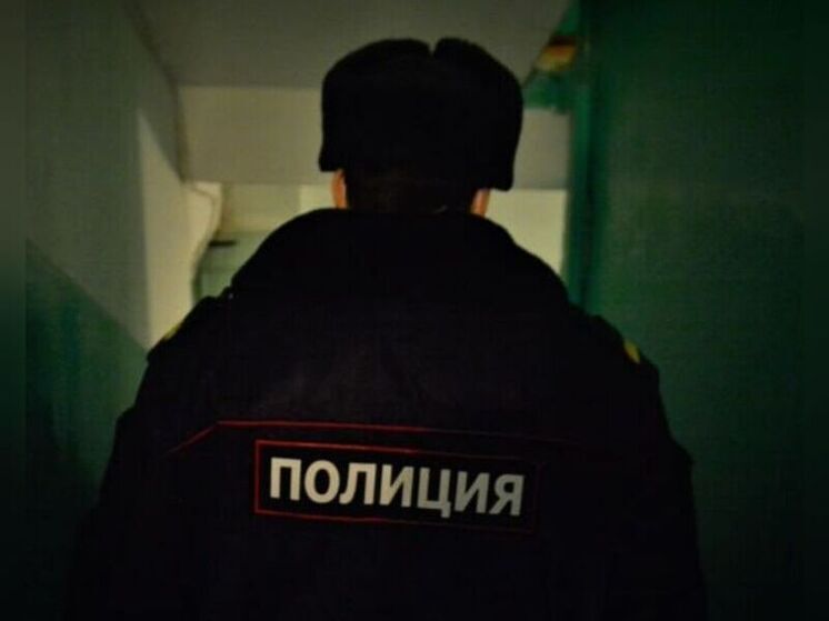 Сын набросился с ножом на мать в Лунинском районе из-за немытой посуды