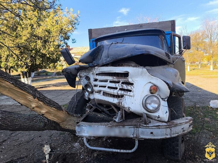 Пьяный житель Херсонской области угнал грузовик и попал в ДТП