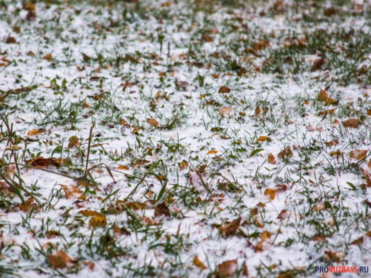 Штормовое предупреждение объявлено в Кузбассе
