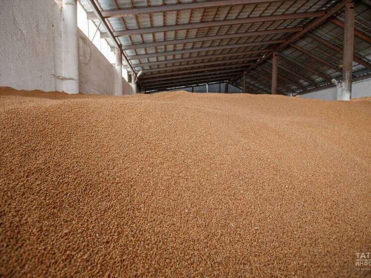 Отгрузили в Татарстане проверенный ячмень для экспорта в Иран