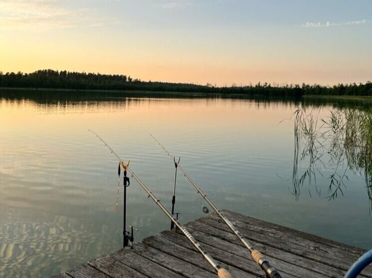 В Ростовской области рыбакам напомнили про действующие ограничения на вылов рыбы