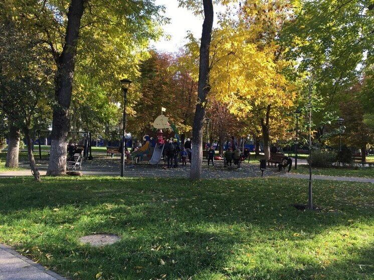 Выходные в Саратове будут теплее нормы, но с небольшими дождями