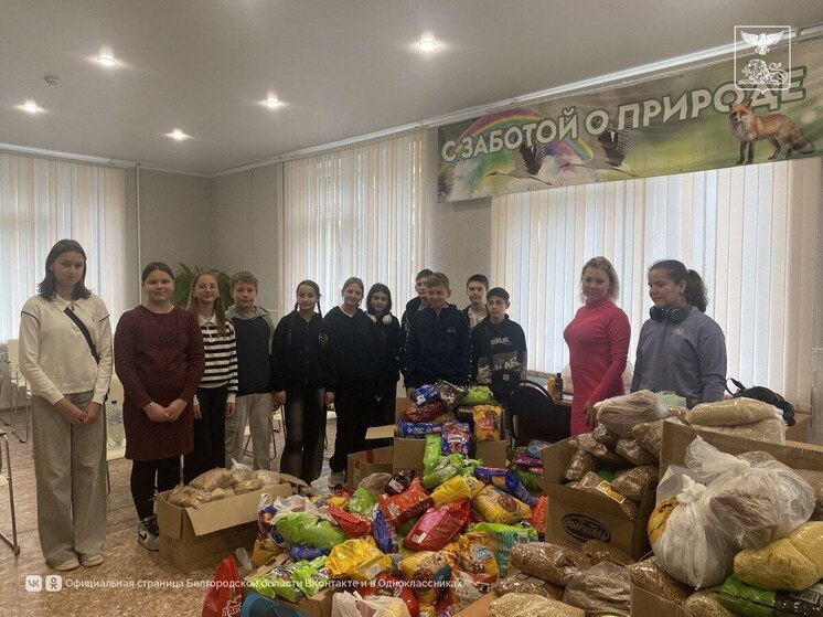 Более 15 тысяч белгородцев присоединились к благотворительной акции «Протяни руку лапам»