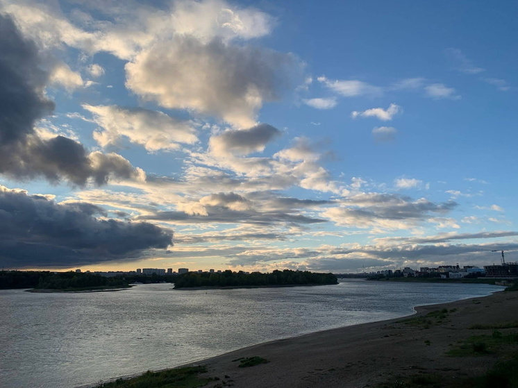 Омская область получила разрешение на строительство платного моста через реку Омь