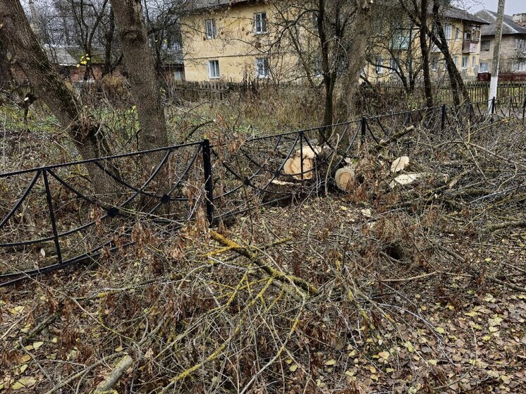 В калужском Кирове уберут ветки