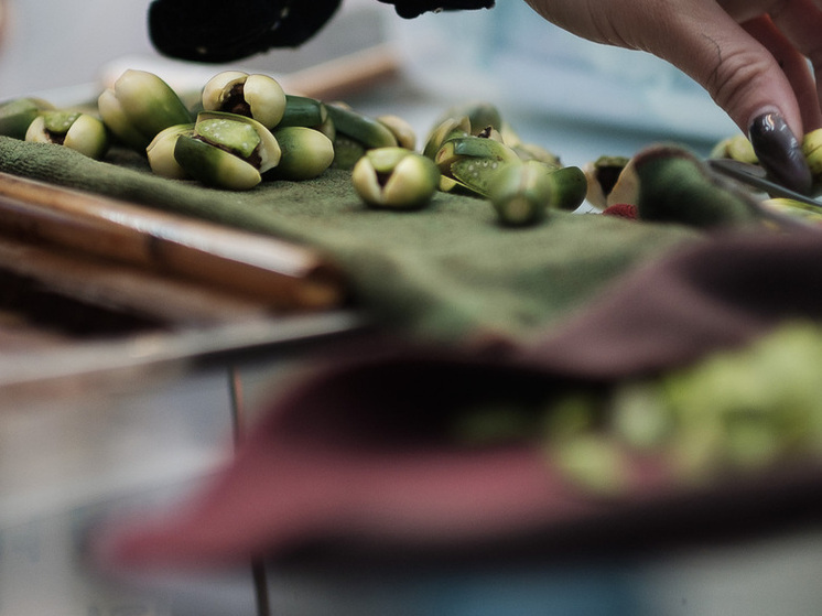 Орех оказывает воздействие на психику, приводит к развитию рака ротовой полости