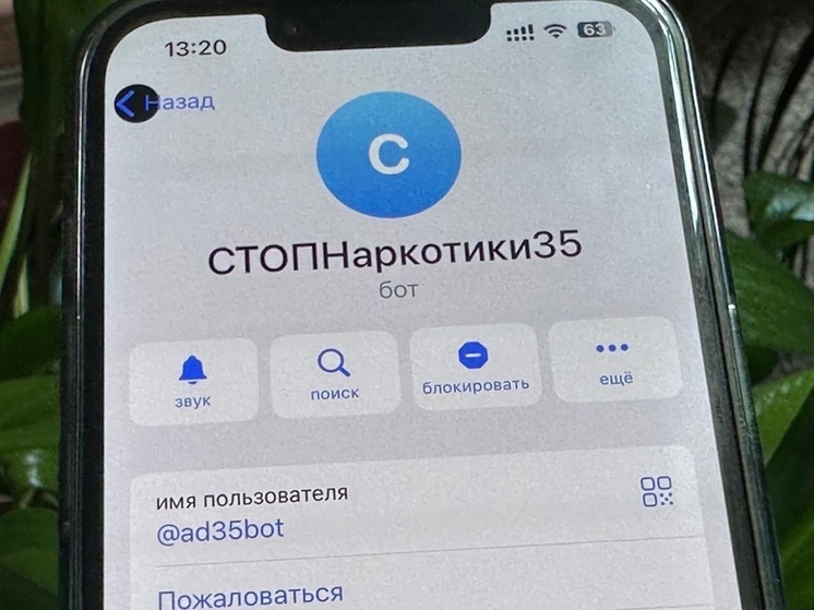 Вологжане оставили 60 обращений в рамках акции «Сообщи, где торгуют смертью»