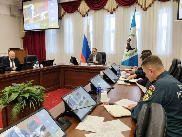 В лесах Иркутской области в 2026 году обустроят более 600 километров минерализованных полос