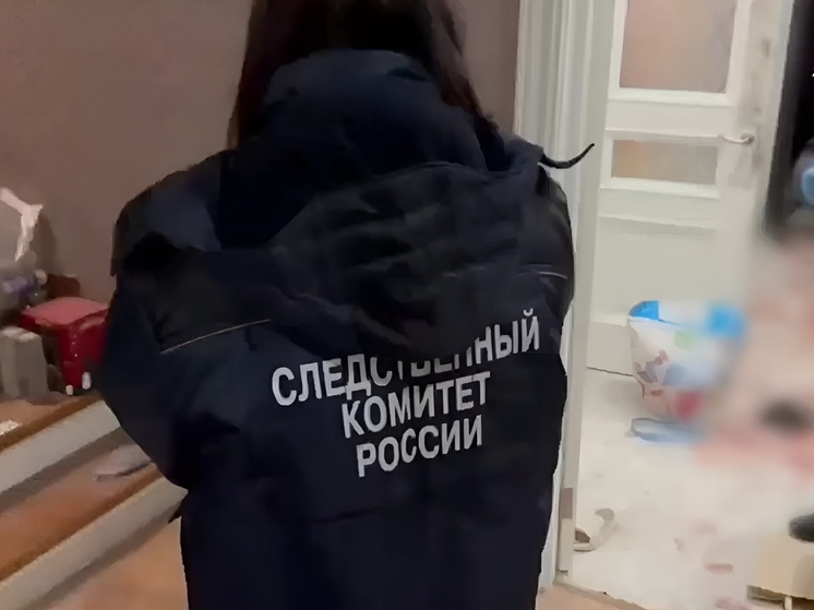 Мужчина устроил резню в тульском частном доме