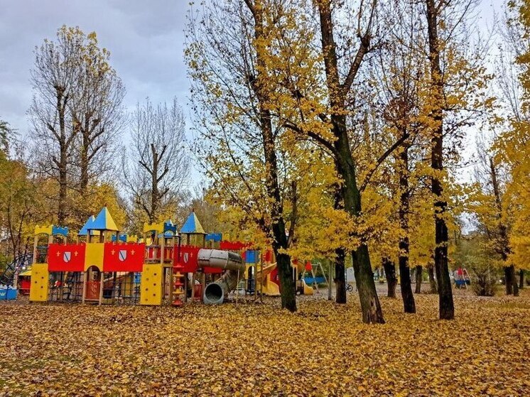 В саратовском парке «Изумрудный» появятся новые качели и сеть для лазания