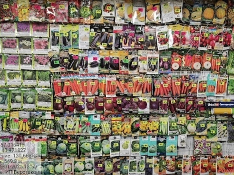 Россельхознадзор продолжает охоту на костромских селекционеров